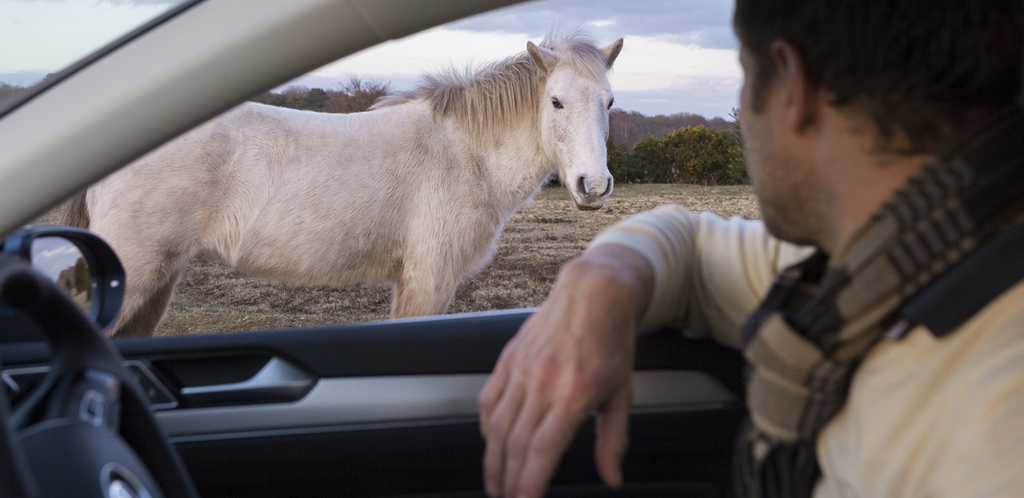 Volkswagen Golf Binek Arac Görseli