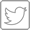 Twitter icon